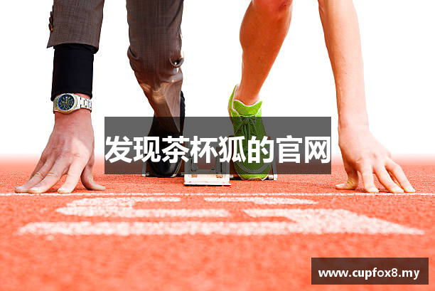 发现茶杯狐的官网